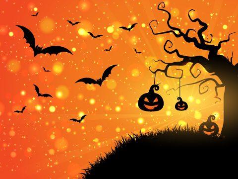 Spooky and Sparkly - Autumn events in Morecambe Bay and Beyond